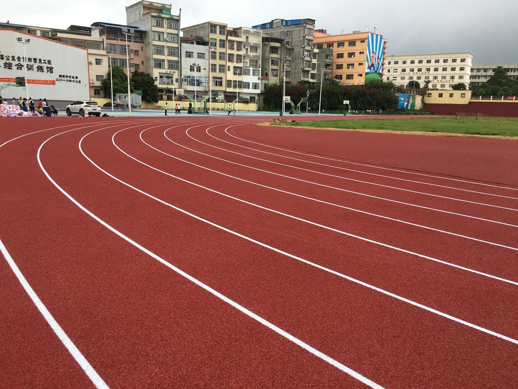 嘉兴市学校塑胶跑道塑胶跑道材料 - 推荐